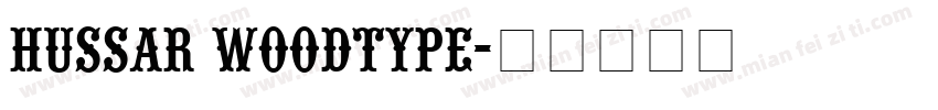 Hussar Woodtype字体转换